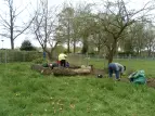 Säubern der Feuerstelle