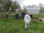 Umgraben  des Kartoffelackers